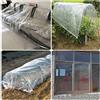 WIGING Foglio di Plastica Trasparente della Serra, Copertura Resistente Ai Raggi UV della Serra della Protezione del Gelo per Orticoltura, Giardinaggio, Agricoltura((WxL) 2x1m)