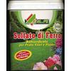 ZAPI Solfato di Ferro Rinverdente e Antimuschio per Prato, Fiori e Piante da 5 kg