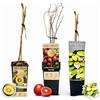 POWERS TO FLOWERS - SET DI 3 PIANTE DI KIWI - GOLDEN KIWI, KENS RED E BUNTBLÄTTRIGE, piante vere