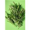 Generic 80 graines d'ÉPINARD SAUVAGE (Chenop odium Bonus-Henricus) H863 Graines Buon Re Enrico: Graines