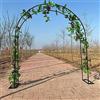 HAIKANGSHOP Ampio Arco Da Giardino In Alluminio, Arco In Metallo For Rose, Rete For Piante Rampicanti, Rete A Traliccio, For La Raccolta Di Cetrioli, Verdure, Viti, Piante Rampicanti ( Colore : Nero , Taglia : 12