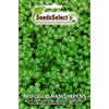 SeedsSelect SEMENTI SEMI DI TRIFOGLIO NANO REPENS SCATOLA GR 500