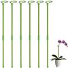 Rurunklee Tutor Plant_e in fibra di vetro | 6 pezzi 80cm Supporti per piante rampicanti e fiori | Tutor di pomodori da giardino | pali per orchidee, amaryllis, peonie, peperoni