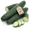 Generico Semi di Cetriolo Marketmore 6g | Alta Germinazione | Varietà Produttiva e Resistente | Semi da Orto per Giardino e Vaso | Cetrioli Croccanti e Uniformi | Made in Italy