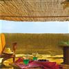 RETELANDIA L'OUTLET DELLE RECINZIONI RETELANDIA - Arella Canniccio Bamboo Naturale Economy per Recinzioni, Balconi, Terrazzi, Protezione Privacy, h m 1.5x5