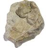 wasserkaskaden Fontane a Cascata Bacino con Sorgente Fulda Sorgente Grande con Protezione antispruzzi, Beige/Marrone, 60 x 41 x 8 cm