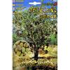 Vivai Le Georgiche Pistacchi - Pistacia Vera (Semente)