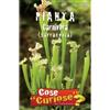 Floriana-Bulbose Semi - Pianta carnivora Sarracenia