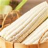 Generic 30 Pezzi Semi Di Mais Bianco Raro Raro Raccolto Di Cereali Non OGM Varietà Prolifica Riconosciuta Piantagione Pratica Personalmente Ottenere il Piacere Del Raccolto