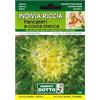 Sicignano Casalinghi Ingrosso Casalinghi Sicignano | Semi Indivia Riccia Pancalieri a Costa Bianca, Foglie Croccanti e Ricce, Cespo Rigoglioso Grosso Riccio, Busta Extra - 2 Confezioni da 7.2g, Pianta a Ciclo Medio-Tardivo