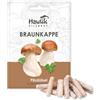 Hawlik Pilzbrut - Set di coltivazione funghi Braunkappe per l'uso su paglia - Coltivazione hobbistica di funghi in giardino - 20 pezzi - Stropharia rugosoannulata micelio - Facilissimo coltivare
