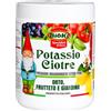 Antika Officina Botanika Bicarbonato di Potassio elevata purezza indicato per Orto - Frutteto - Giardino- barattolo da 500 grammi, multicolore