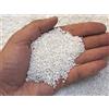 Geosism & Nature - Perlite per Piante in Vaso, Ideale per Bonsai, Cactus, Giardino, Orchidee, Orto, Piante Carnivore (1 kg, 0/3 mm)