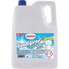 Amacasa Candeggina Grande Formato, 5000ml