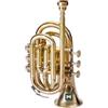 Indian Musical Instrument IMI - Tromba tascabile, passo BB, qualità premium, con bocchino e custodia per il trasporto (OTTONE ORO)