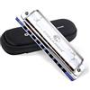 CONJURER Armonica blues per bambini adulti principianti Armonica diatonica a 10 fori in chiave di C suono bronzo fosforoso suono a molla organo blues con custodia, chiave di C in acciaio inox argento