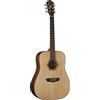 Washburn Wld10S, Naturale