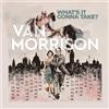 Virgin music international What�s It Gonna Take?