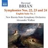 NAXOS Sinfonia N.22 Sinfonia Brevis, Sinfoni