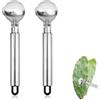 NQEUEPN 2pcs Cucchiaio Pelador de Nopales Pelador de Nopales in acciaio inox multifunzione Pelador de Nopales Cactus Peeler Strumento Cinese Tagliatelle per Utensili da Cucina Accessorio