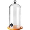 UNFAIRZQ Copertura molecolare della cupola alimento della cucina del cappuccio di plastica della cloche per il dolce di cocktail