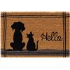 matches21 HOME & HOBBY Tappetino in cocco per interni ed esterni, in fibra di cocco, 40 x 60 cm, con scritta Hello e gatto come divertente tappetino per la pulizia, per esterni, per porta di casa, corridoio, giardino