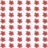 QUARKZMAN 100 Pezzi Fiori Pressati Essiccati 0.24-0.31 Fiori Di Narciso Colorati All'ingrosso Per Nail Art Resina Gioielli Candele Biglietti Scrapbooking Decoration Cover Telefono Cremisi