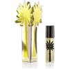 ORTIGIA di in Lime Sicilia Perf olio 10 ml, 1 Pack (1 x 10 ml)