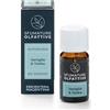 Erboristeria Magentina - Sfumature Olfattive Essenza da 10ml - Aromaterapia per la casa (Vaniglia e Tonka)