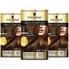 Schwarzkopf Oleo Intense Tintura per capelli castani, confezione da 3 tinte permanenti con olio, senza ammoniaca, copre i capelli grigi, colore 4-60 castano dorato