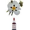 Il Regno Vegetale Olio essenziale 100% Puro LABDANO Assoluta Naturale Uso Interno/Esterno (10 ml)