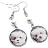 Silvia Creations And Co Orecchini Pendenti Acciaio Personalizzato con Fotografia Cane o Gatto | Ciondolo Personalizzato con Foto