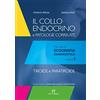 ELI-Edizioni Librarie Int. Il collo endocrino e patologie correlate. Manuale di ecografia diagnostica. Tiroide e paratiroide (Vol. 1)