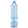 Generico Acqua Smeraldina Acqua Minerale Gassata in Bottiglia PET, 1 Lt, Confezione da 12 Bottiglie