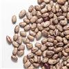 Il Contadino - Antichi Sapori FAGIOLI BORLOTTI | Il Contadino | Legumi Secchi (5 Kg)