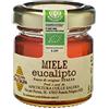 Apicoltura Colle Salera Miele biologico di Eucalipto - Italiano non Pastorizzato | Apicoltura Colle Salera (40 gr)