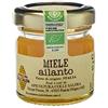 Apicoltura Colle Salera Miele biologico di Ailanto - Italiano non Pastorizzato | Apicoltura Colle Salera (40 gr)
