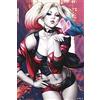 Grupo Erik Poster Dc Harley Quinn Kiss