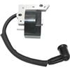 XRXEA Bobina del modulo di accensione for M//c//C//u//l//l//o/c//h TM281 + TM252SST TM252 + BVM240 BVM250 PARTNER BV24 BV25 T210 HG55