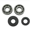 GTWSQQ Kit cuscinetto a sfere scanalate paraolio albero motore for motosega for ZENOAH4500 5200 5800 45cc 52cc 58cc tipo sega a catena accessori da giardino