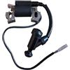 RLFNPHMHX GXV160 GXV140 GXV120 Bobina di accensione H//o//n/d/a 30500-ZG9-M02 30500-ZE7-033 30500-ZE7-043 168FL 160FL 1P65 1P64 1P60