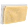 COLLBATH Spazzola per Corpo Adesiva da Parete in Plastica Beige, Facile da Pulire, Scrubber per Doccia per Massaggio e Pulizia della Schiena