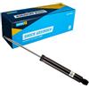 Bilstein 19-127439 Ammortizzatore