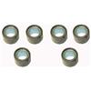 Generico Serie 6 Rulli per Variatore Dimensioni 23x18 17,5Gr Per X-MAX 300 2017 2018 / X-MAX ABS 300 2019 2020 / X-MAX 300 ABS IRON MAX 2019 / X-MAX 300 ABS TECH MAX 2020
