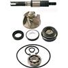 FAR KIT REVISIONE POMPA ACQUA COMPATIBILE CON HONDA PES 150 PS I 150 2006 > 2010 RMS
