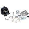 Malossi KIT GRUPPO TERMICO APRILIA SR H2O MALAGUTI F12 H20 MALOSSI 318284 IN GHISA D.47
