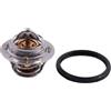 HOLDWELL Termostato di raffreddamento 17670-50F01 compatibile con Suzuki 1999-2004 Hayabusa (GSX1300R) 2001-2002 GSX-R1000 2000-2003 GSX-R750 2001-2003 GSX-R600 1999 9-2000. 2 SV650/S 1998-2003