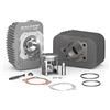 AER MOTO SPARE PARTS GRUPPO TERMICO CILINDRO MALOSSI Ø 43 IN GHISA 65CC CON SPINOTTO Ø 10 CIAO PX 50