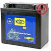 Generic Magneti Marelli Batteria per Moto, Scooter, Quad, Moto d'Acqua, Motoslitte, Motociclette, Enduro - Sigillata e Pronta all'uso (12V - 12AH - 200CCA - Compatibile con YTX14-BS)