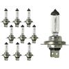 CARALL 10 Pezzi Lampada Alogena 12V Per Auto (H18 12V 65W PY26d-1)